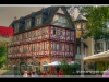 frankfurt-city-11-kopie.jpg